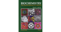 Image of Biochemistry The chemical reactions of living cells