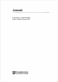Image of Animal
