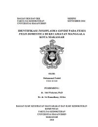 Image of Identifikasi toxoplasma gondii pada feses domestica di kec.manggala kota makassar