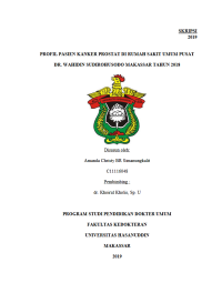 Image of PROFIL PASIEN KANKER PROSTAT DI RUMAH SAKIT UMUM PUSAT DR.WAHIDIN SUDIROHUSODO MAKASSAR TAHUN 2018