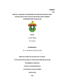 Image of Profil gambaran endoskopi dan histopatologi pada infeksi helicobacter pylori di rsup dr.wahidin sudirohusodo makassar