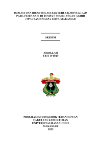 Image of Isolasi dan idektifikasi bakteri salmonella sp. pada feses sapi di tempat pembuangan akhir (TPA) tamangapa kota makassar