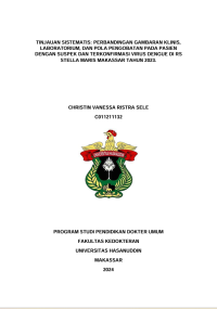 Image of Tinjauan sistematis: perbandingan gambaran klinis laboratorium dan pola pengobatan pada pasien dengan suspek dan terkonfirmasi virus dengue di Rs Stella maris Makassar tahun 2023