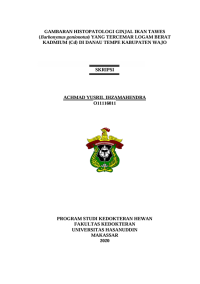 Image of Gambaran histopatologi ginjal ikan tawes (barbonymus gonionotus) yang tercemar logam berat kadmium (cd) di danau tempe kabupaten wajo