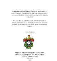 Image of Karakterisasi molekuler pembawa staphylococcus aureus resisten methicillin pada pasien infeksi tempat bedah setelah bedah ortopedi di rumah sakit tersier Makassar