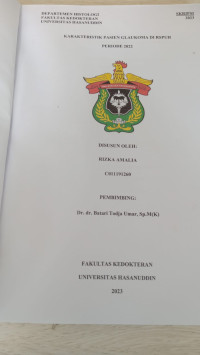 Image of Karakteristik pasien glaukoma di RSPUH periode 2022