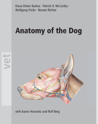 Image of Anatomy of The Dog