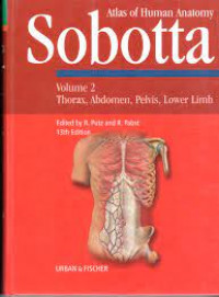 Image of Atlas of human anatomy sobotta Volume 2 thorax,abdomen.pelvis.lower limb