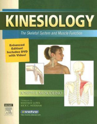 Image of Kinesiology the skeletal system and muscle function